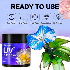 Teexpert UV Resin Dip for Wire Flowers Kit, 100g Crystal Clear UV Dip Resin with