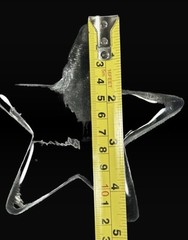 Blenko Clear Star Paperweight Signed Walter Blenko