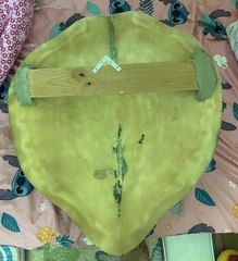 Green Turtle Shell Half Mount Replica 29 X 24 X 6 X-Large It’s Great