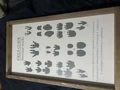 Field Guide Dinosaur Foot Print Dino Poster