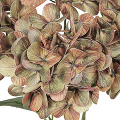 18 In. Dusty Cafe Brown Natural Touch Artificial Hydrangea Flower Stem Bush Bouq