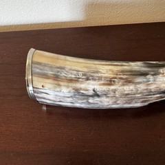 Decorative Horn Statue 15 inch Polished Display Piece with Silver Toned Rim