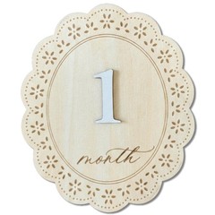 Baby Girl Monthly Milestone Signs, 1-12 Monthly Baby Milestone Girl, Newborn …