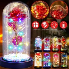 Eternal Forever Galaxy Rose In Glass Flower LED Light For Women Valentine’s Gift