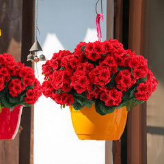 2 Set Artificial Red Geraniums Flowers for Outdoors with Hanging Baskets, 2 Hang