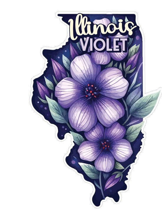 Illinois Sticker Stickers A290