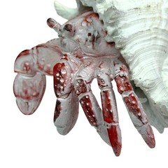 Resin Hermit Crab Statue Red Whitewashed Shell Coastal Figurine 5.25 In