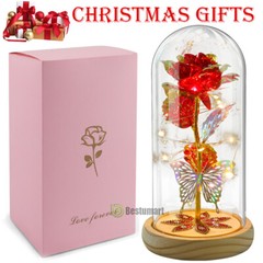 Rose Flowers Christmas Gift for Women,Glass Dome Rose Gifts for Mom Wife Grandma