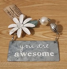 C R Gibson Sandra Magsamen “You Are Awesome” Metal Plaque Sign 4″x5.5″ NWT