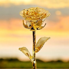100% Natural Rose Dipped In 24K Gold, 11.5″, Wedding, Anniversary, Proposal,