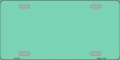 Mint Solid Color Novelty Metal License Plate