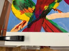 WALASSE TING Parrots
