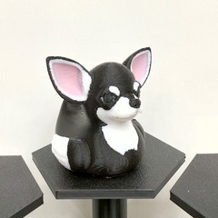 Chihuahua Duck | White Black Tan Brown Mix | Jeep Duck | Cruise Décor | 3D Print
