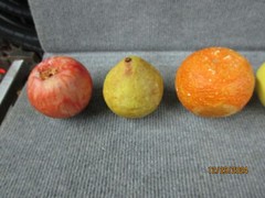 Faux Fruit Stone