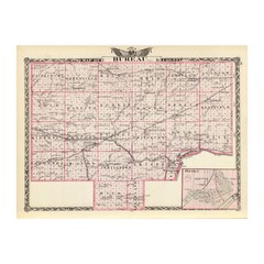 Old Map of Bureau County, IL 1876 – Vintage Illinois Art