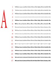 Removable Custom Personalized Sticker Decal Name Text Wording Lettering 10~200cm
