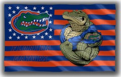 Florida Football Team Memorable Flag 90x150cm 3x5ft Gators Strong Best Banner