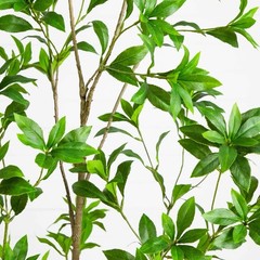 6′ Artificial Minimalist Japanese Pieris Tree