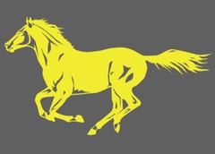 Horse Stallion Galloping #3, 4-21″ Outdoor Die Cut Vinyl Decal Sticker