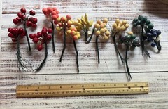 Vintage Millinery Fruit Lacquered Sugared Flocked Pick Japan Orig box – unused