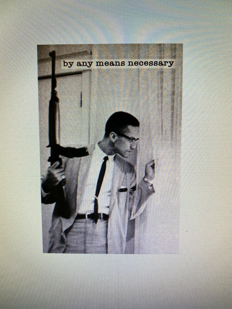 MALCOLM X BY ANY MEANS NECESSARY 24X36 POSTER POLITICAL FIGURE ICON BLM ACTIVIST