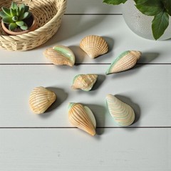 Ceramic Seashell Wall Hangings Set of 7 Glazed Nautical Beach Decor Bathroom