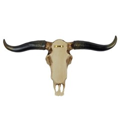 Southwestern Faux Texas Longhorn Skull Steer Rustic Cabin Ranch Decor 20 1/4″