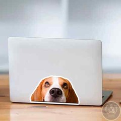 Peeking Beagle Car Sticker / Realistic Dog Head Vinyl Waterproof Removable Decal