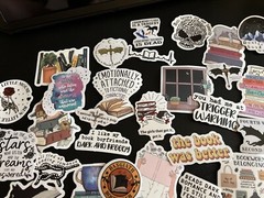 20 Pcs Book Stickers for Kindle Bookish Reading Booktok Stickers Adult Romance