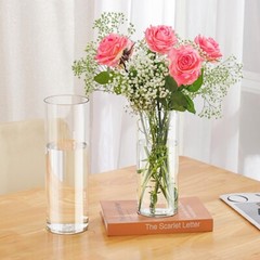 Acrylic Cylinder Plastic Vase for Centerpiece, Unbreakable Hurricane Tall Lar…