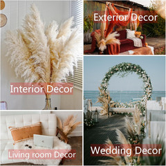 10Pcs 40» Pampas Grass Tall Decor – Pompas Floral, Tall Pampas Grass for Floor