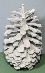 Large White Painted Long Leaf Pine Cone Natural Pinecone Display Holiday Wedding