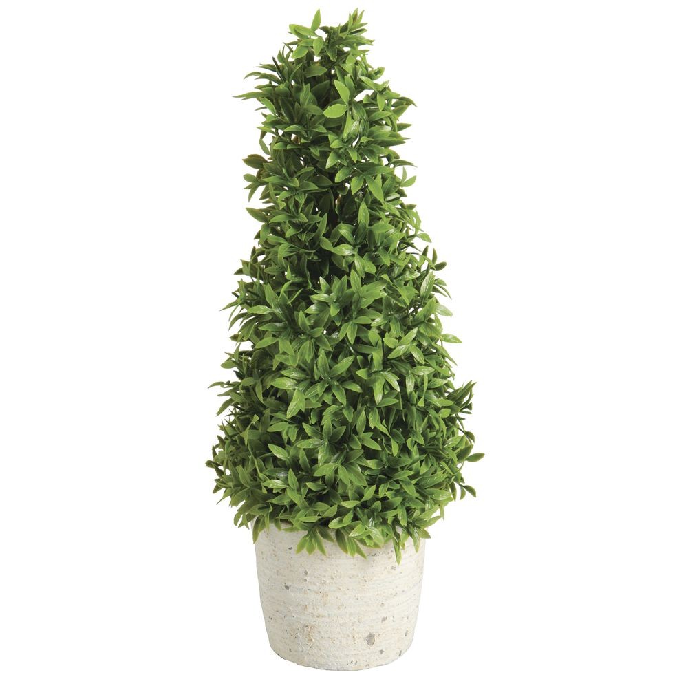 Park Hill Mountain Savory Cone Topiary – 6 1/2″L x 6 1/2″W x 17″H
