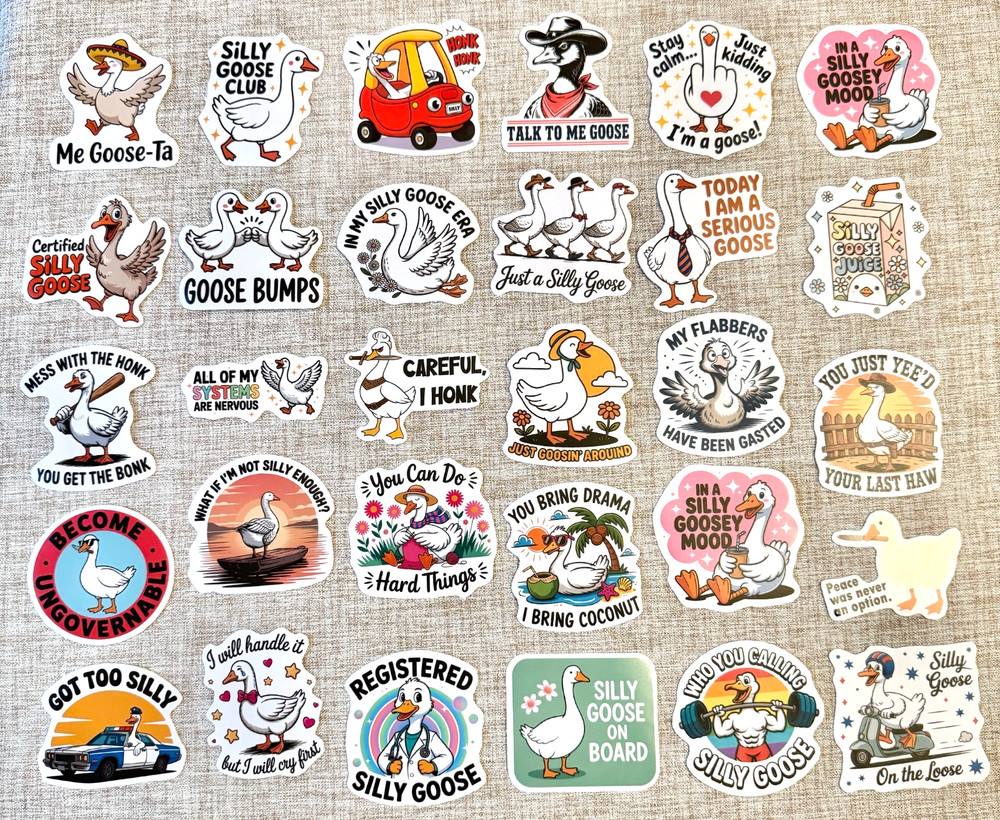 30 Silly GOOSE STICKERS for Water Bottle – Funny Laptop Decals
