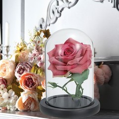9.8″x3.9″ Clear Cloche Glass Dome Glass Bell Jar Display with Wooden Base