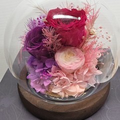 Pink And Purple Preserved Roses Dome With Fairy Lights, 4 Inch, Gift For Her