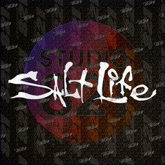 Salt Life Signature Vinyl Decal Sticker – Die Cut watersports boating surfing