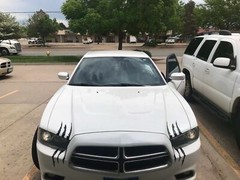 Claw Scratch Mark Decal Various Colors