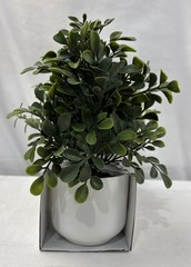 Room Essentials Three Herb Artificial Plants in White Pots. New