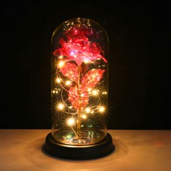 Preserved Eternal Galaxy Flower Rose In Glass Dome with LED Light Birthday Gifts
