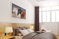 Horse In Line Portrait White Black Brown Animal Photo Art Print Poster 12×18