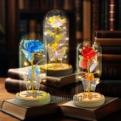Rose Flowers Christmas Gift for Women,Glass Dome Rose Gifts for Mom Wife Grandma