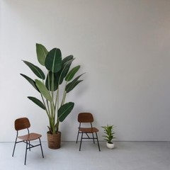 Indoor/Outdoor 6ft Faux Bird of Paradise Plant in Heavy-Duty Decorative Pot