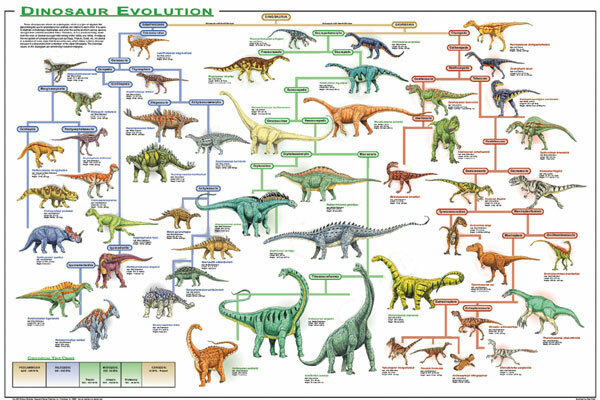Dinosaur Evolution Educational Decorative Chart Poster 36 x 24 FREE SHIPPING