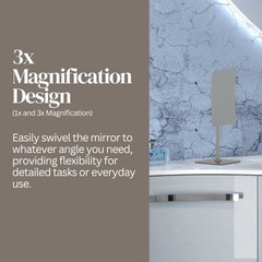 Aptations Mirror Image Minimalist Rectangular Free Standing Mirror
