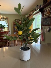 Beautiful Faux Lemon Tree/Great Condition