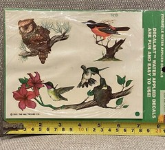 Vtg 1981 Meyercord Decal Art Decals Birds Hummingbird Owl Oriole Floral