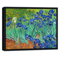 Irises by Van Gogh Fine Art Painting Reproduction Canvas Print Picture Framed
