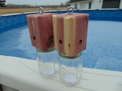 2 Red Cedar Carpenter Bee-bore traps FREE SHIPPING 100% Made in America
