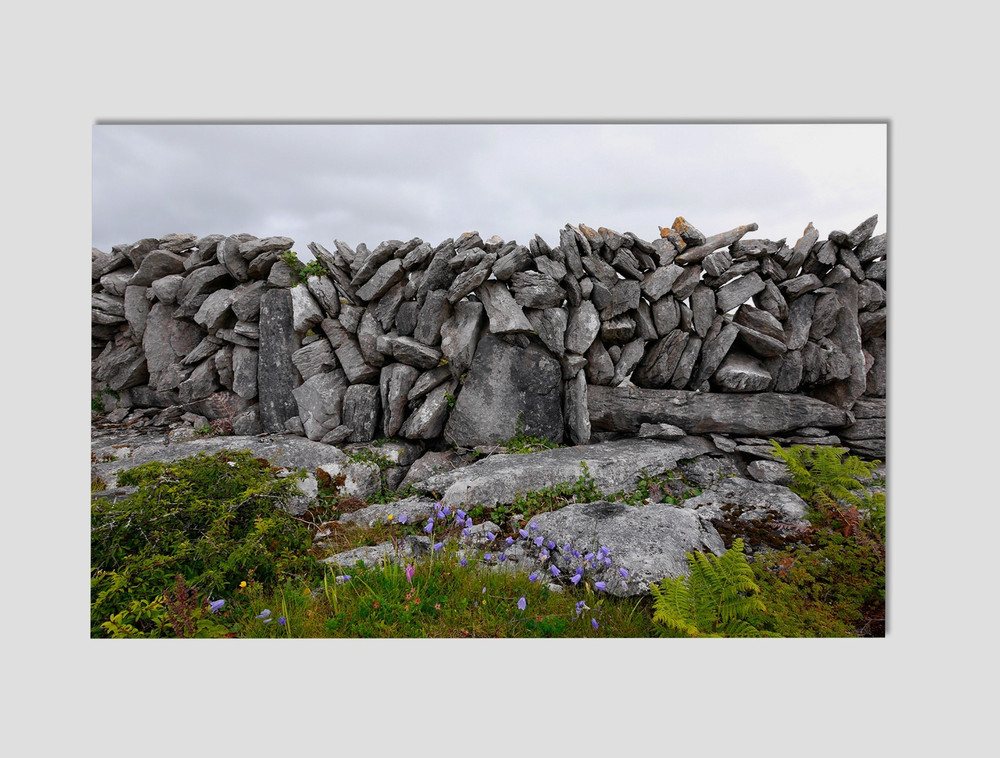 Ireland Dry Stone Wall Premium Giclee Print 11″ x 17″ Irish Wall Art